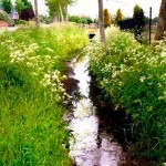 De-Laak-grens-en-afwatering-richting-toenmalige-Zuiderzee-L