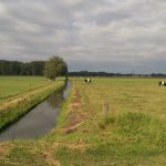 Gulbroek Met Lakenvelders