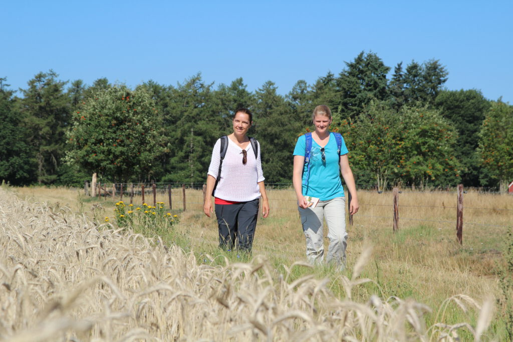 Wandelen op Klompenpad Montferland