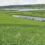 Mras_Batouwe_Rijn-bij-Opheusden_Kobus-van-Ingen