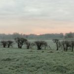 Omgeving Posterenk Zicht Op Stronkseweg Gert Nijhof