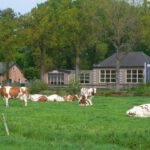 Oude Openbare School, C Frans Van Loenen