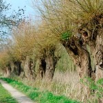 Zeegsepad_Oude_Postweg_Yvonne_Bloemena