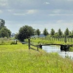 veenveldendijk_3